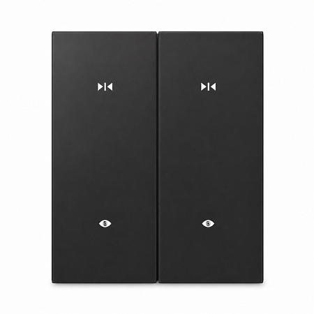 SM-2C Black