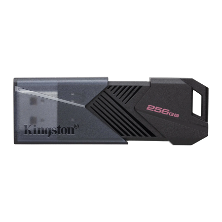 USB-накопитель Kingston DTXON/256GB 256GB