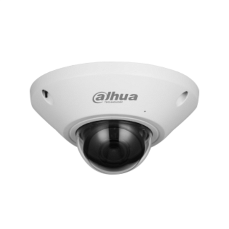 DH-IPC-EB5541P-AS