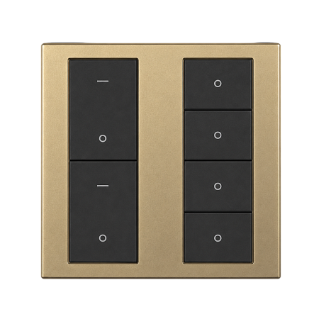 ZBM1-R2B6-EU Gold